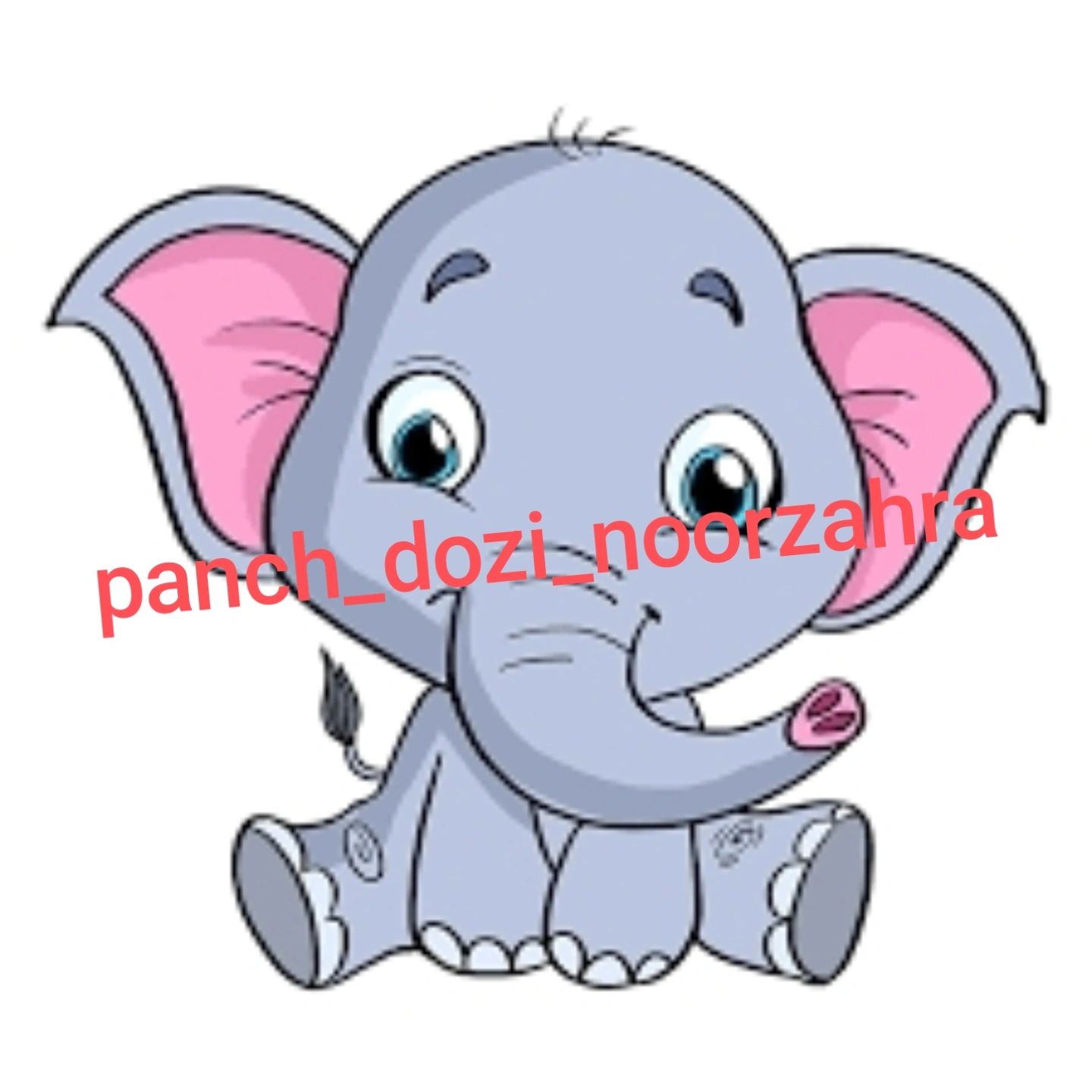 panch_dozi_noorzahra